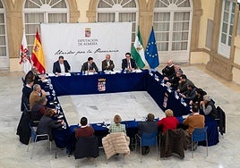 Reunión de representantes de Diputación con alcaldes afectados.