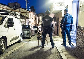 La Guardia Civil introduce en el vehículo policial a uno de los detenidos.