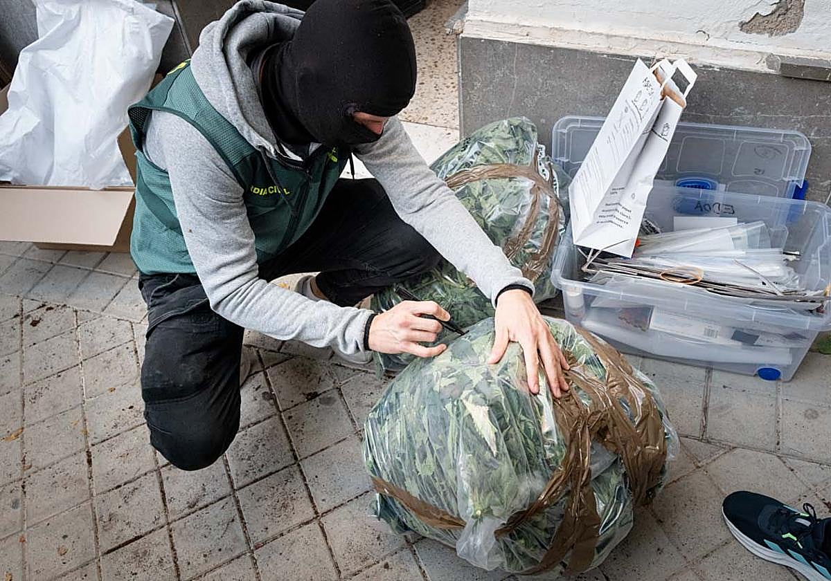 En primera persona: las imágenes de la gran operación antidroga en Granada