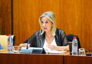 Ana Tárrago, fiscal superior de Andalucía, en el Parlamento de Andalucía