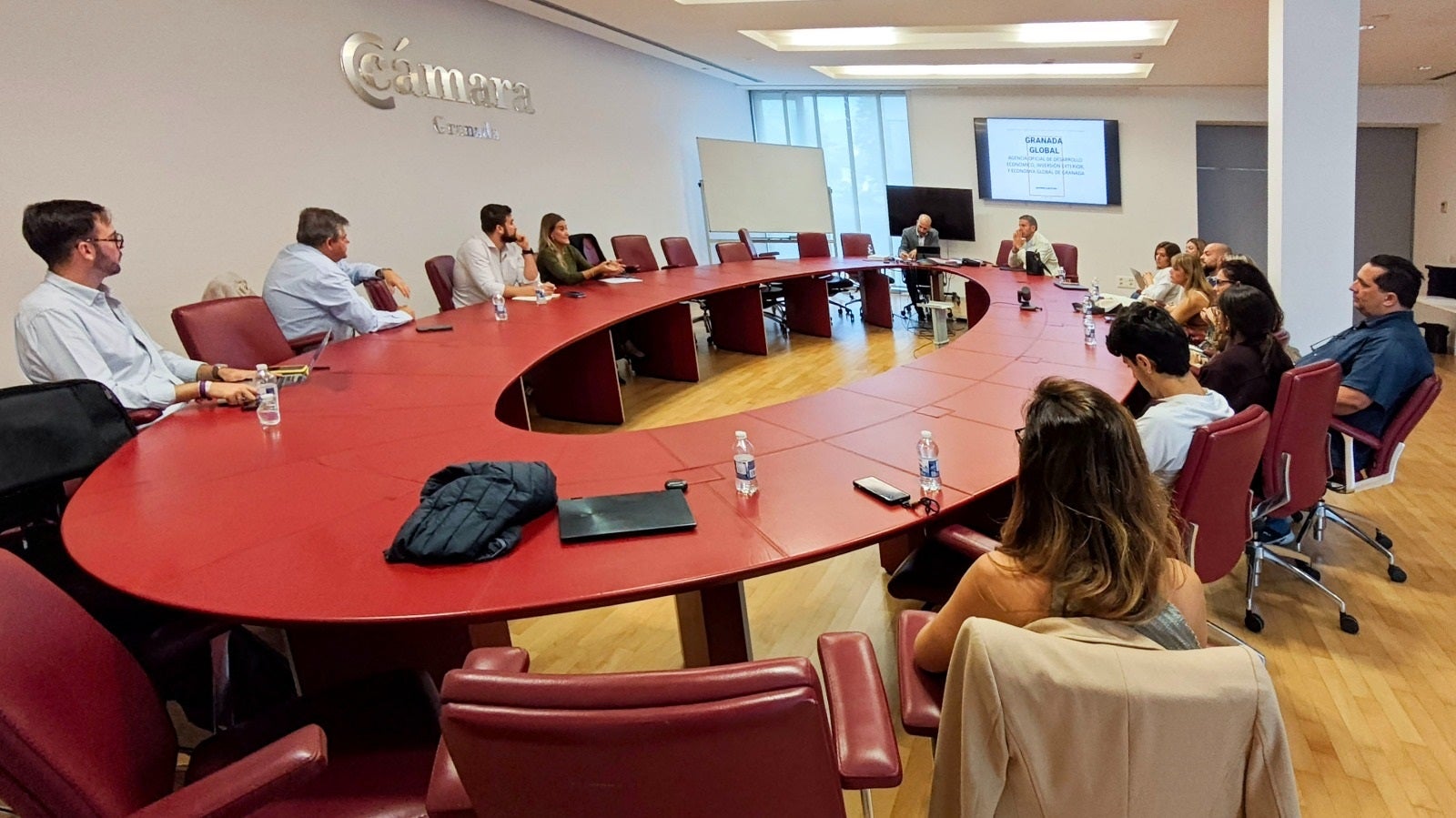 Representantes de distintas agencias de marketing en la presentación en el salón de plenos de Cámara Granada