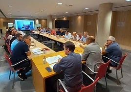Momento de la reunión del Grupo Técnico de Expertos en Sanidad Vegetal.