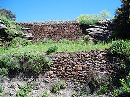 Dos balates centenarios en la localidad granadina de Pórtugos.