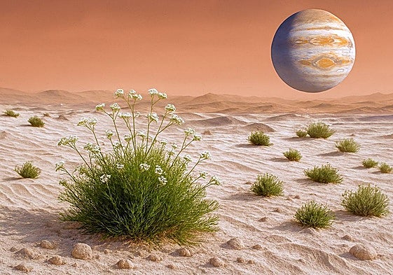 Recreación con inteligencia artificial de cultivo de una planta en Marte.