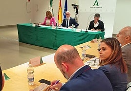 Reunión del Foro Provincial de Personas de Origen Migrante en el Museo Íbero.