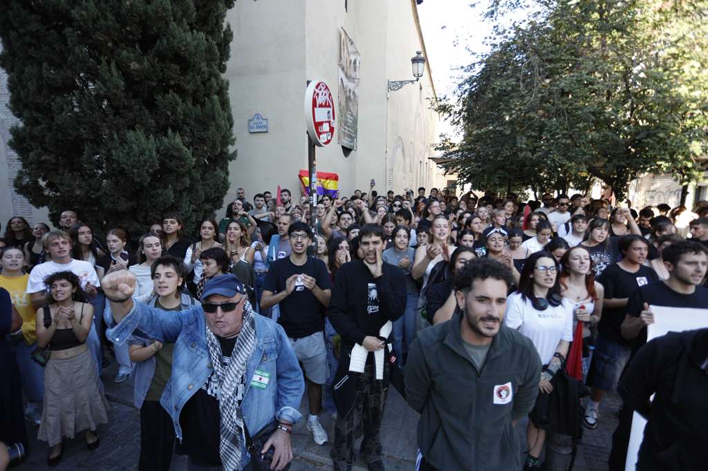 Las imágenes de los enfrentamientos por el acto de Vito Quiles en Granada