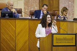 a portavoz del grupo parlamentario Por Andalucía, Inma Nieto