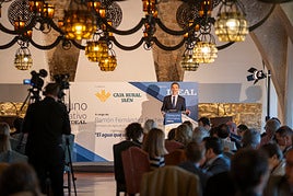 El consejero de Agricultura de la Junta, Ramón Fernández-Pacheco, en el desayuno informativo de IDEAL.