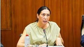 La consejera de Inclusión Social, Loles López