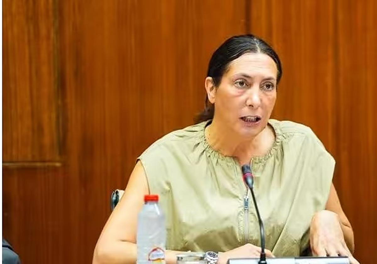 La consejera de Inclusión Social, Loles López