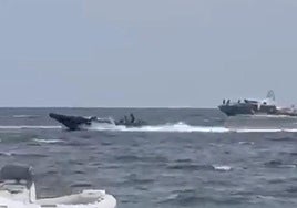 Una persecución a una narcolancha, de archivo.