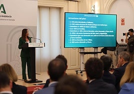 La consejera de Fomento, Rocío Díaz, anuncia los Presupuestos para Granada.