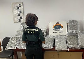 La droga incautada en Calahonda.