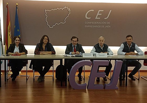 Imagen del plenos del CES local.