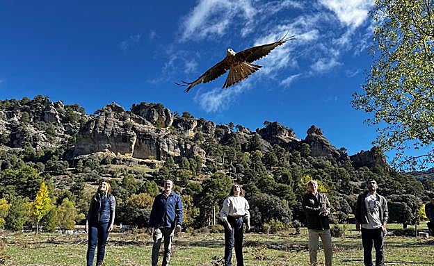 La consejera de Sostenibilidad y Medio Ambiente ha participado en esta liberación.
