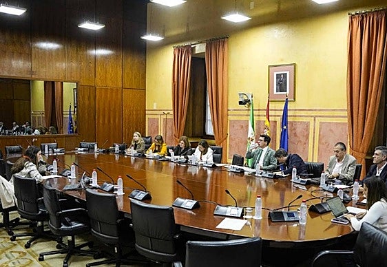 Una de las comparecientes en la Comisión de Vivienda del Parlamento.