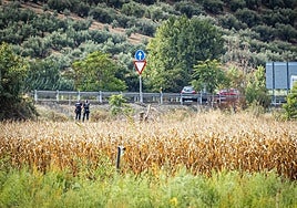 Policía Local de Huétor Tájar en el punto en el que se ha producido el accidente mortal en la A-92