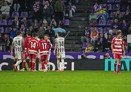 Diego Hormigo, a la derecha, se retira expulsado de Valladolid.