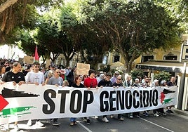 Concentración en defensa de Palestina, de archivo.