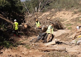 Desbrozado y limpieza del barranco de Trasmulas que provocó las inundaciones de la A-92.