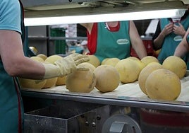 Imagen de archivo de trabajadoras en una cadena de envasado.