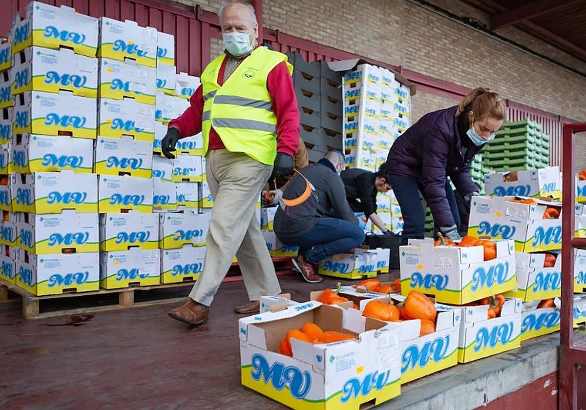 El Banco de Alimentos de Granada premia a la Universidad de Granada