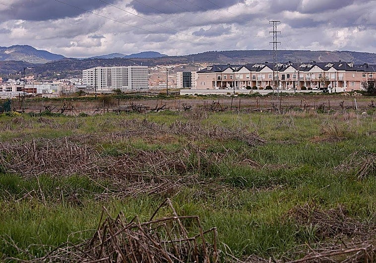 Los promotores de la zona del PTS diseñan las calles en un primer avance
