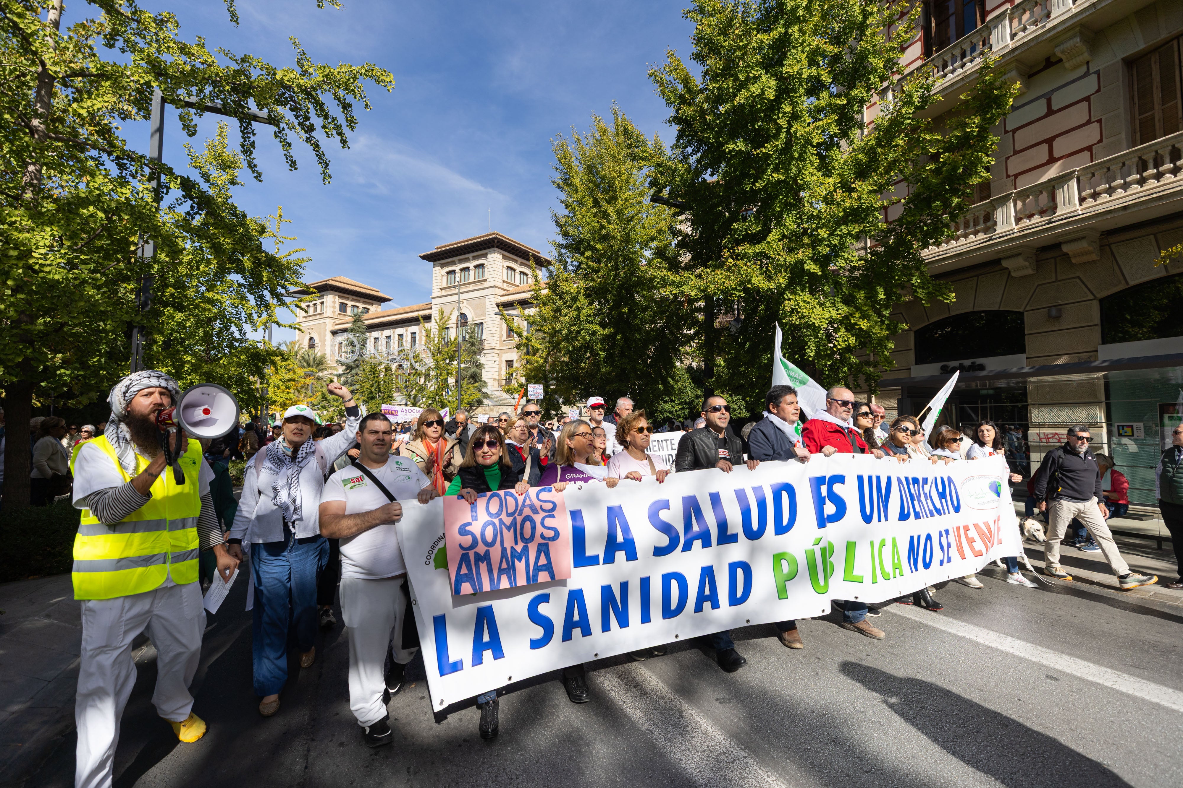 La manifestación en Granada en defensa de la Sanidad, en imágenes