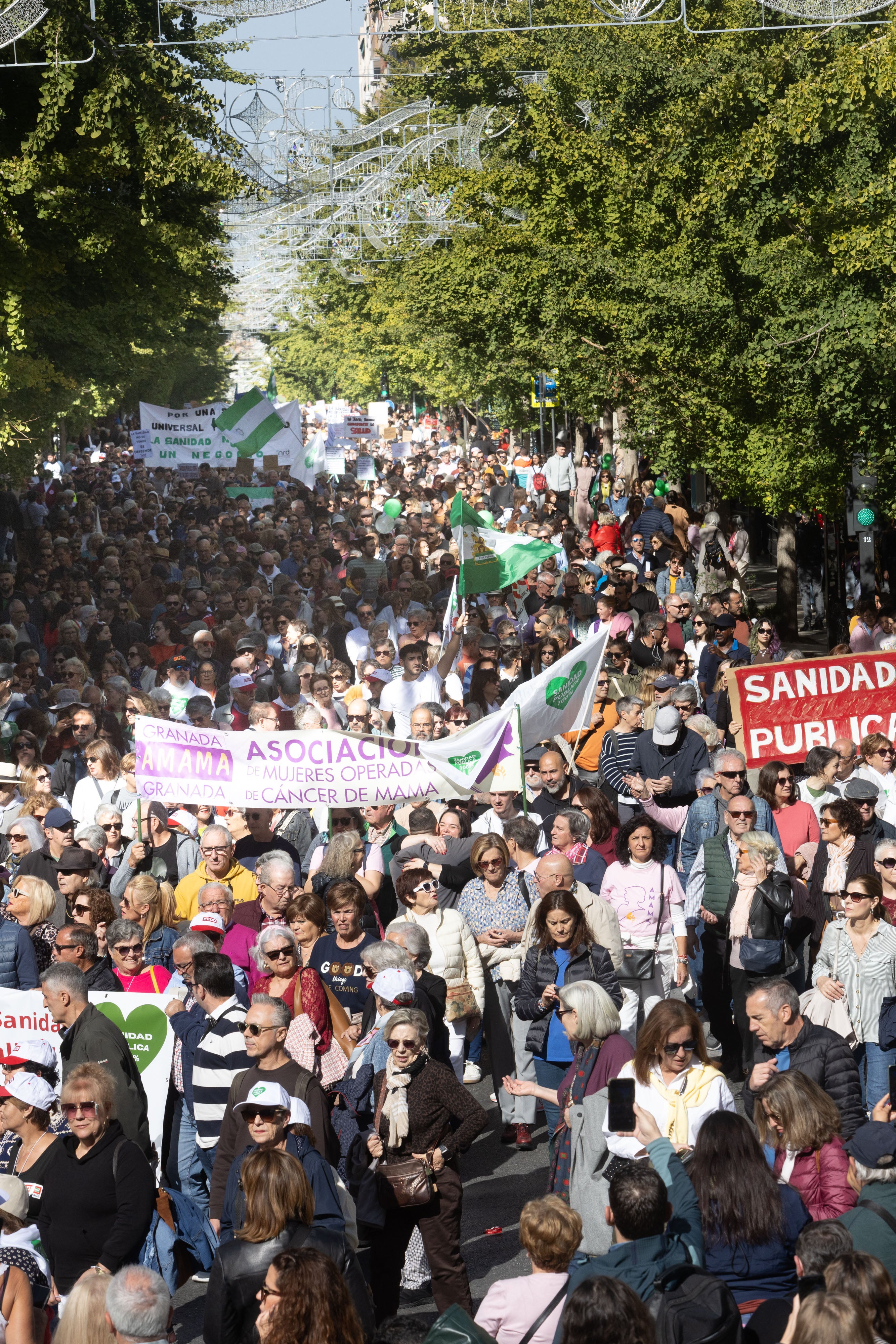 La manifestación en Granada en defensa de la Sanidad, en imágenes