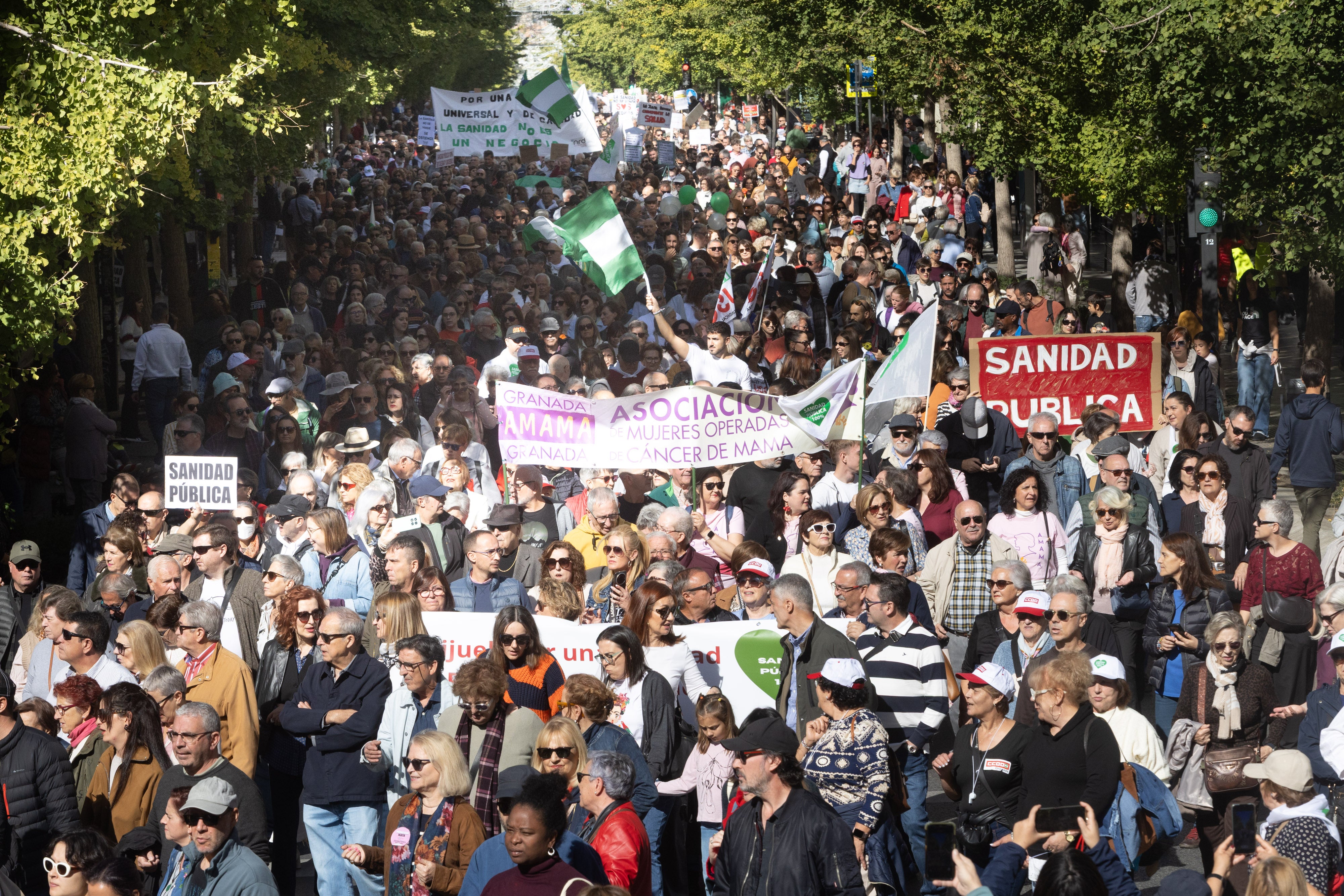 La manifestación en Granada en defensa de la Sanidad, en imágenes