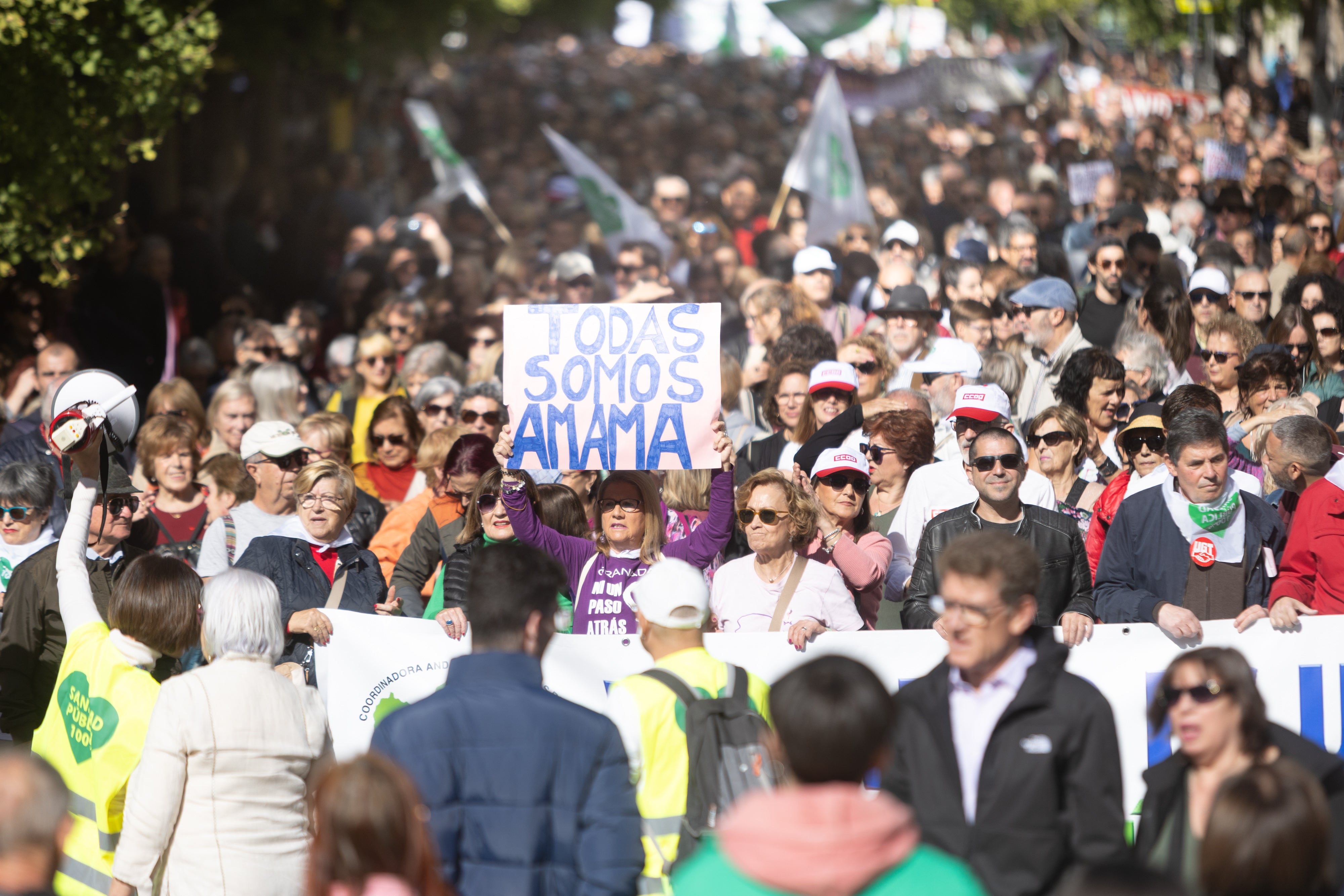 La manifestación en Granada en defensa de la Sanidad, en imágenes