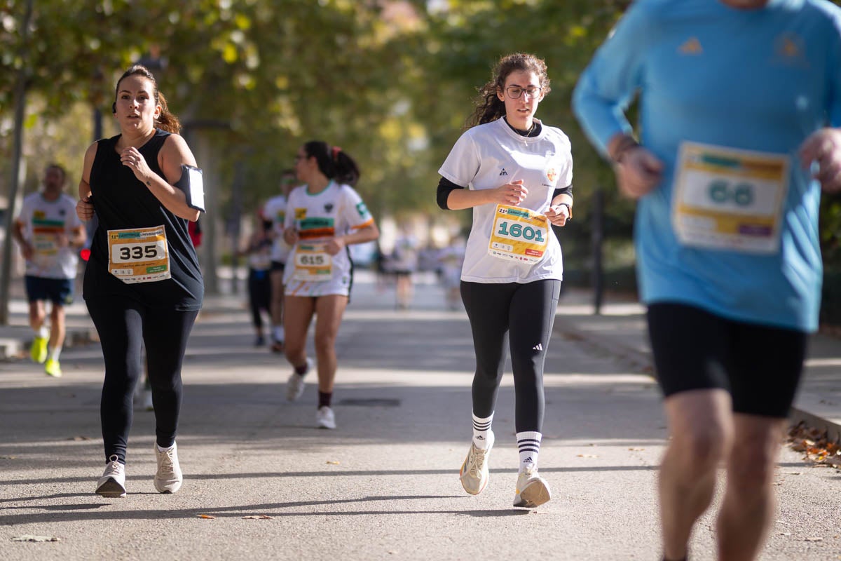 Encuéntrate en la carrera Universidad-Ciudad de Granada