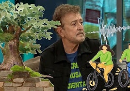 Feria de las causas ambientales