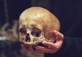 Un cráneo de la UGR.