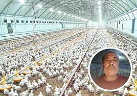 El ganadero Manuel Javier Aznar