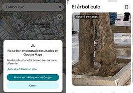 El árbol culo que aparecía hace unos días, ya no puede encontrarse en Google Maps.
