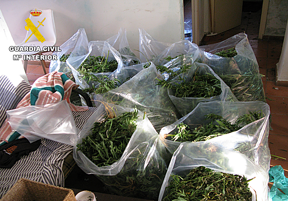 Droga robada en la Costa de Granada.