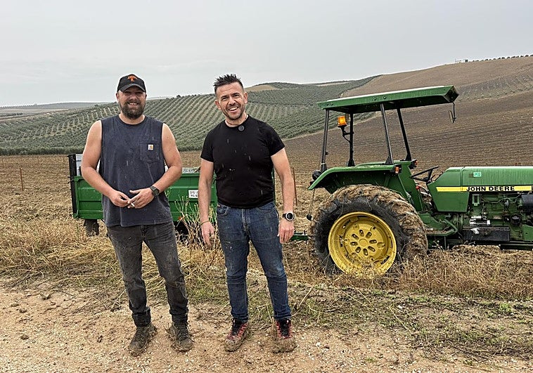 Tendrá aceite de oliva gratis de por vida al plantar 10 hectáreas de olivos con un agricultor andaluz