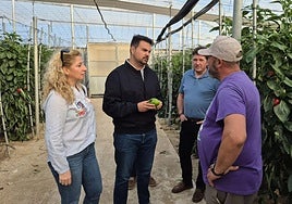 Mateo Hernández, en un invernadero.