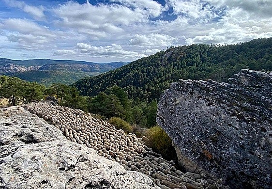 Las ovejas, en dirección a Vilches, a su paso por desfiladeros de la provincia de Cuenca.