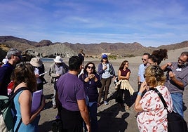 Cumbre internacional en Cabo de Gata para salvar las praderas marinas de posidonia