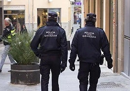 Condenan a dos años y ocho meses de cárcel a un subinspector de la Policía Local por malos tratos a su expareja