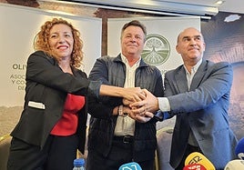 Nuria Yáñez, José Gilabert y Rafael Almirón, en la presentación de la asociación.