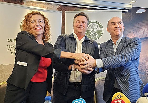 Nuria Yáñez, José Gilabert y Rafael Almirón, en la presentación de la asociación.