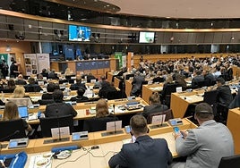 Imagen del Congreso durante la intervención del comisario de Agricultura.