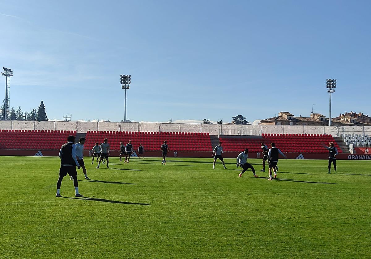 Uno de los ejercicios del entrenamiento del Granada.