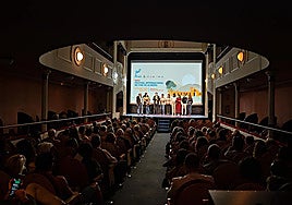 El Certamen Internacional de Cortometrajes 'Almería en Corto' llega a su fin