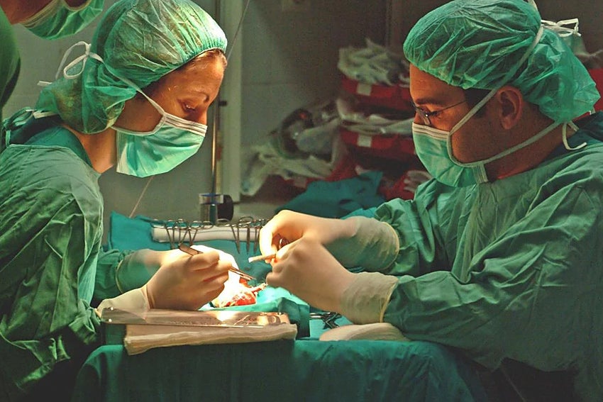 Los almerienses destacan por su solidaridad en la donación de órganos.