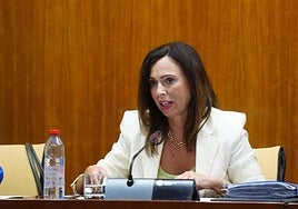 La consejera de Fomento, Articulación del Territorio y Vivienda, Rocío Díaz, en una imagen de archivo.