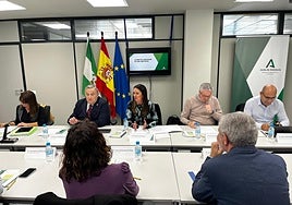 Acaba la temporada de riesgo alto de incendios en Almería con 2.389 hectáreas quemadas, la mayoría matorral